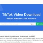 Snaptik: Download TikTok Videos Without Watermark