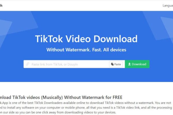 Snaptik: Download TikTok Videos Without Watermark