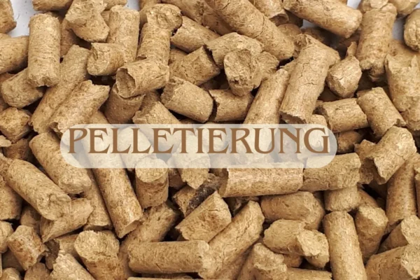 Industrial pellet-making process illustrating Pelletierung and its applications.