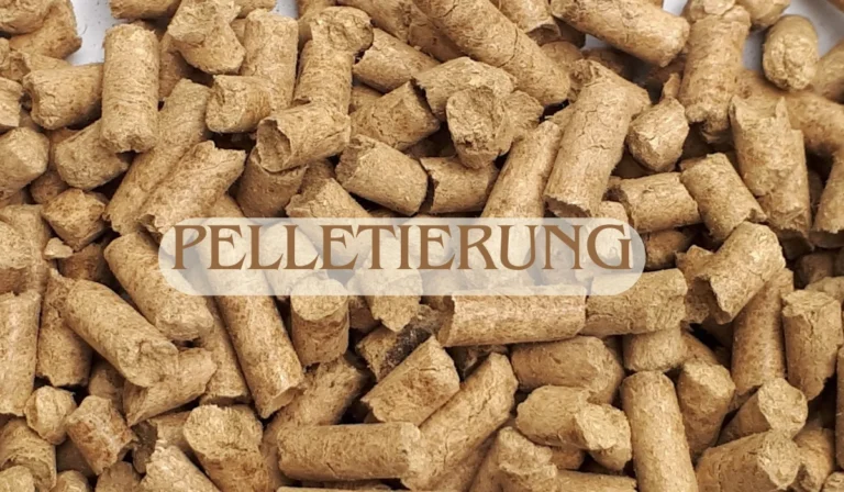 Pelletierung: The Ultimate Guide to Efficient Pellet Production