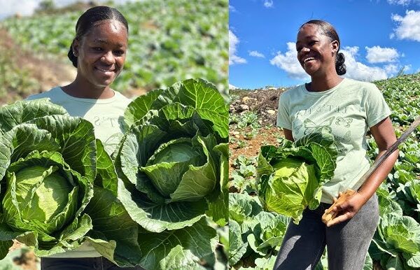 FarmerJamieKins in sustainable farming practices