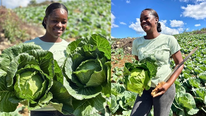 FarmerJamieKins in sustainable farming practices